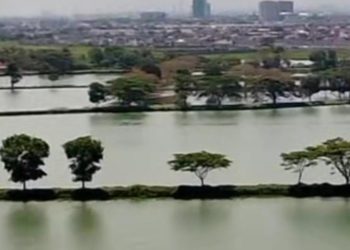 Metamorfosis Bojongsoang: Dari Sentra Ikan Mas dan Padi Organik, Menjadi Kawasan Hunian Padat