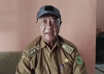 Kades Mekarsari Minta Inspektorat dan APH Segera Ambil Langkah, Dalam Menyikapi Pembangunan Irigasi