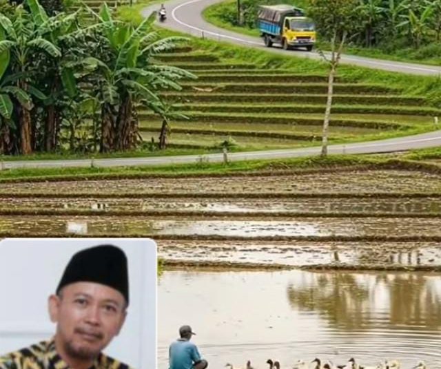 Dampak Penempatan Posisi Penyelenggaraan Negara Tanpa Asas Meritokrasi